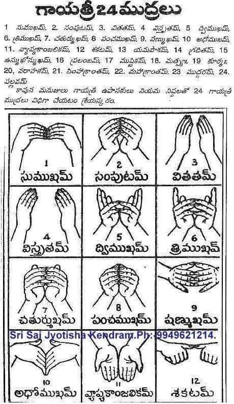 Online Nadi Astrology Kendra